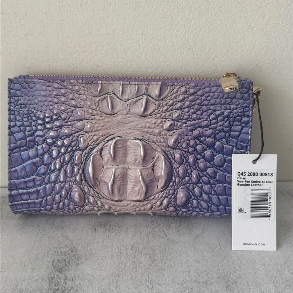 Brahmin daisy very